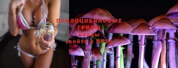 спайс Абаза