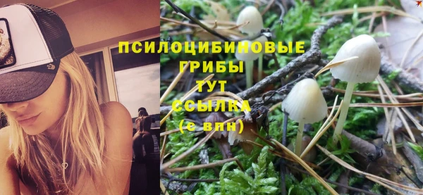 спайс Абаза