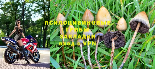 ешки Абинск