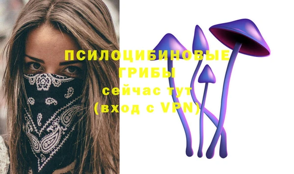 спайс Абаза